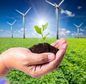 A imagem mostra uma mão segurando um punhado de terra, de onde brota uma planta. Ao fundo, um campo ensolarado com moinhos de energia eólica.